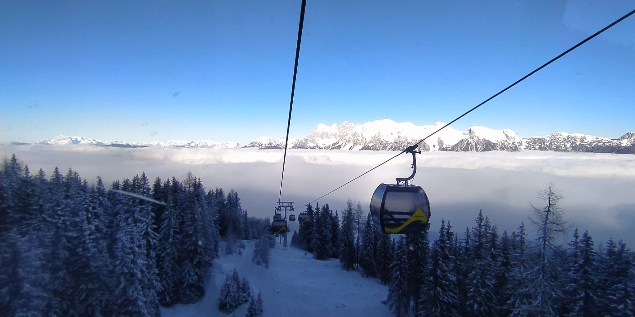 IMG-20221208-WA0003