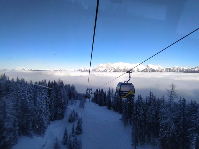 IMG-20221208-WA0003